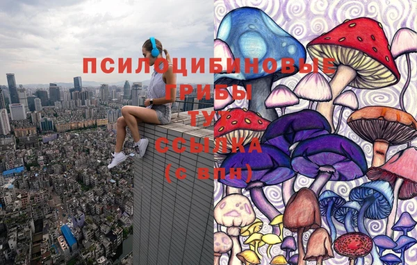кокаин премиум Богородицк